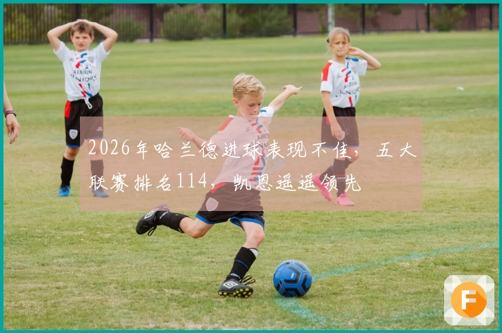 2026年哈兰德进球表现不佳，五大联赛排名114，凯恩遥遥领先