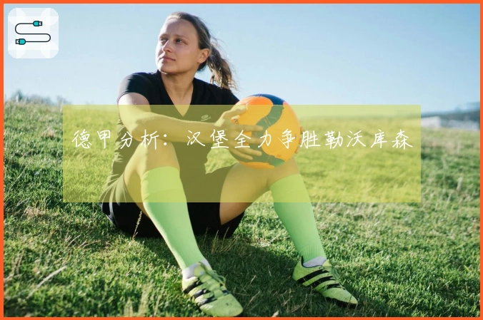 德甲分析：汉堡全力争胜勒沃库森